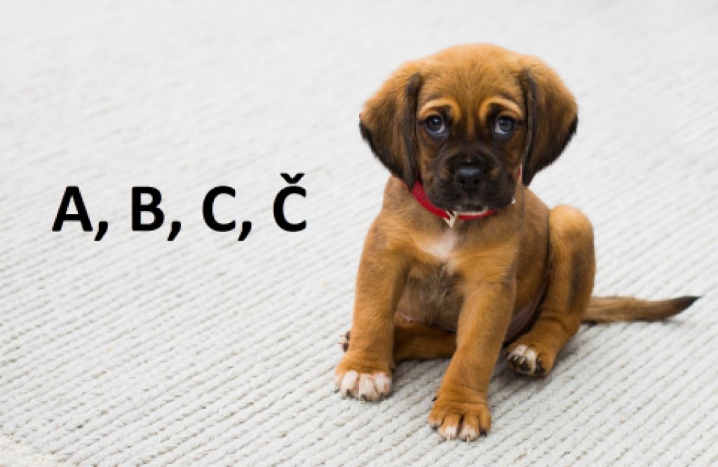 Mená pre psov - A, B, C, Č